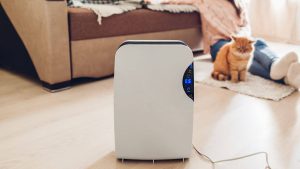 dezumidificatorbun_wp