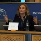 maria-grapini-comisia-IMCO-nou-720x430