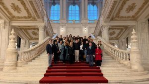 tineri valahia parlament