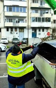 5c337636-35be-4ef3-bfac-e81cb03bdb98