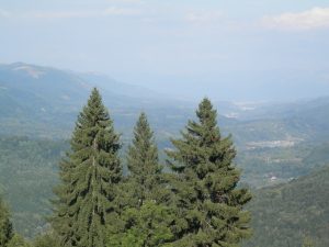 69592296_2896197403727026_470987350629941248_n