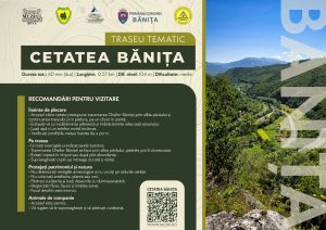 cetatea informatii